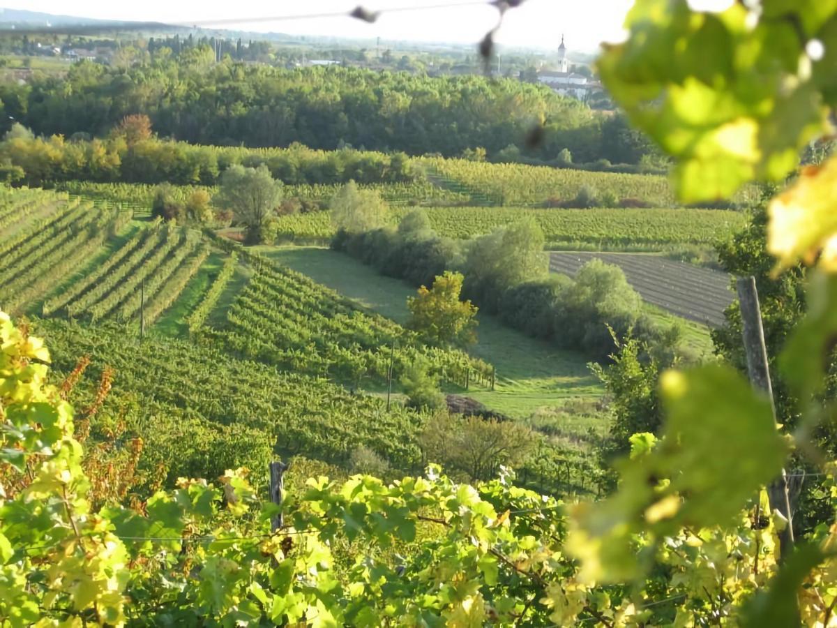 Willa Capriva Del Friuli - Casa Roncus Zewnętrze zdjęcie